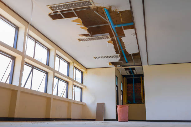 Best Fire Damage Restoration  in Georgetown, IN