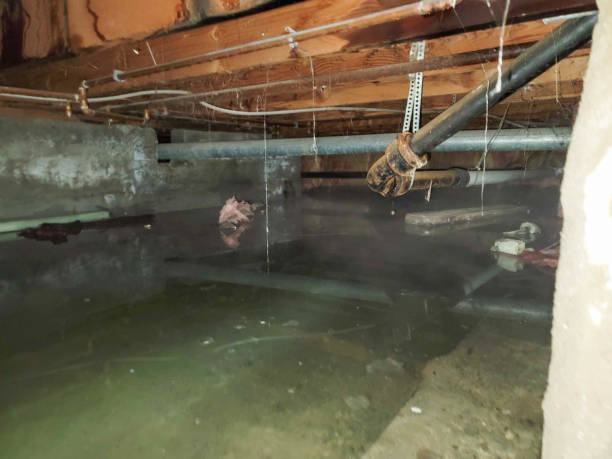 Best 24-hour water damage restoration  in Georgetown, IN