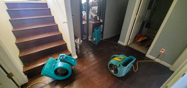 Georgetown, IN Water damage restoration Pros