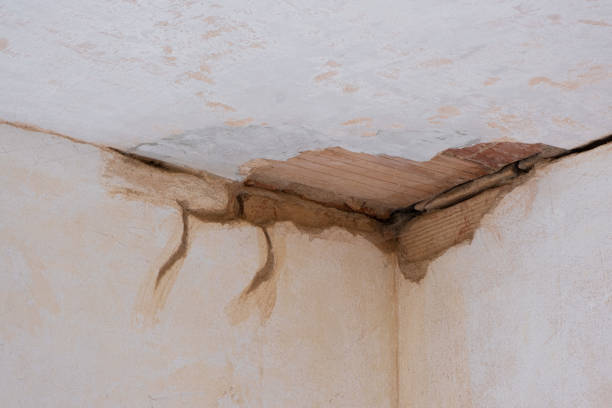 Best Water damage restoration near me  in Georgetown, IN