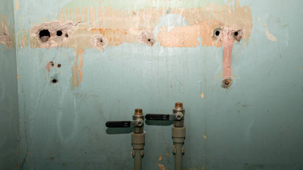Best Water damage restoration near me  in Georgetown, IN