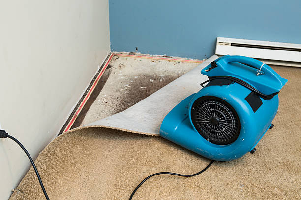 Water damage restoration mold remediation in IN